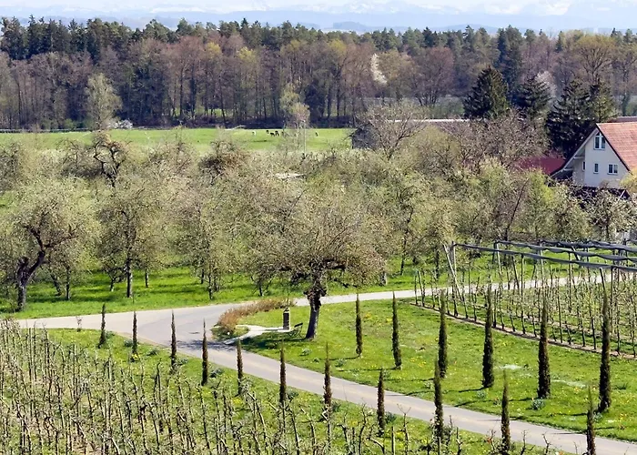 Bergchalet Mirabell - Hofgut
