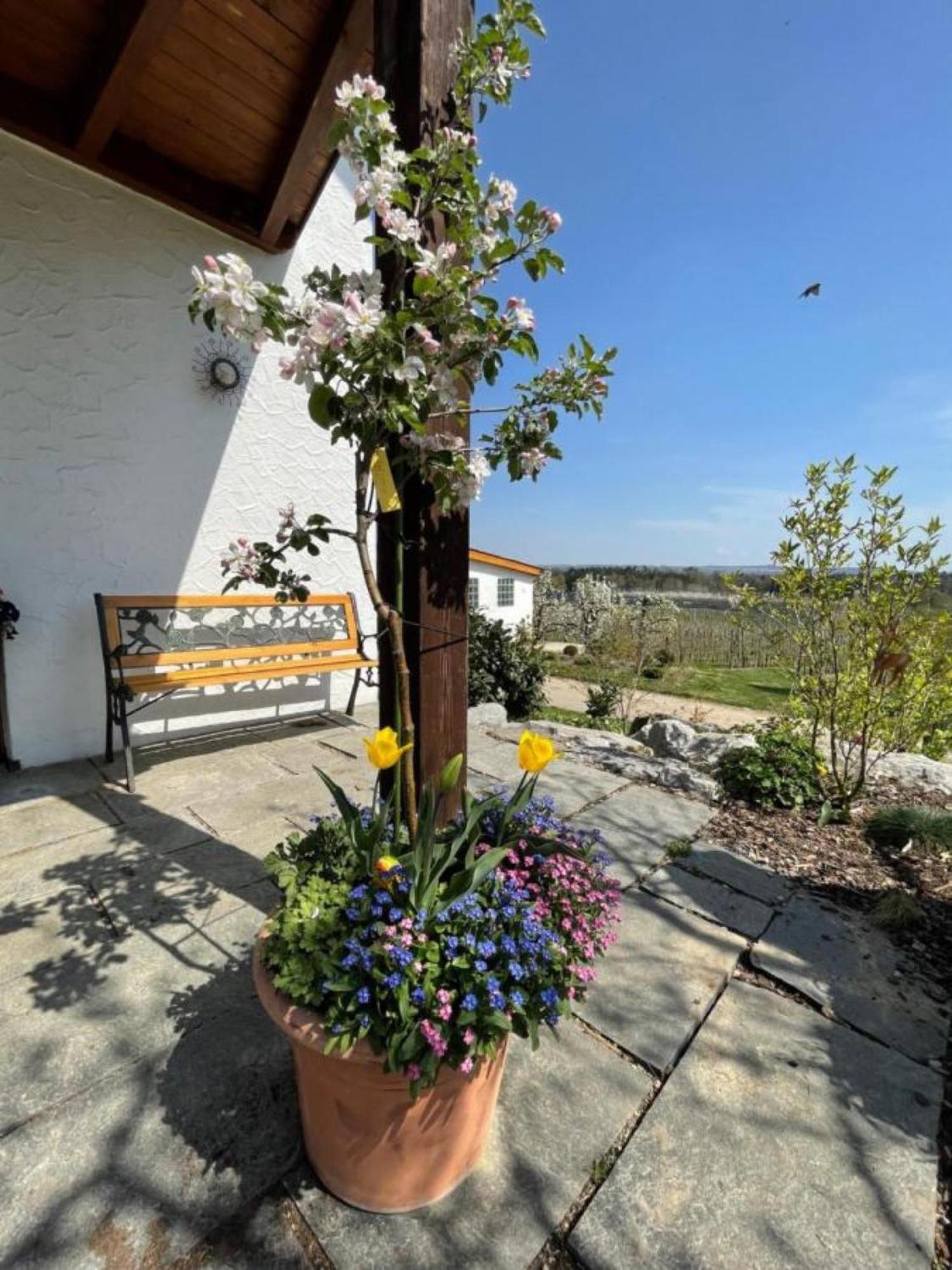 Apartment Bergchalet Mirabell - Hofgut Friedrichshafen