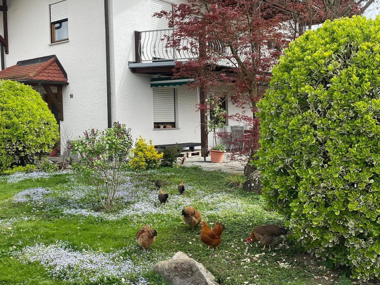 Apartment Bergchalet Mirabell - Hofgut *