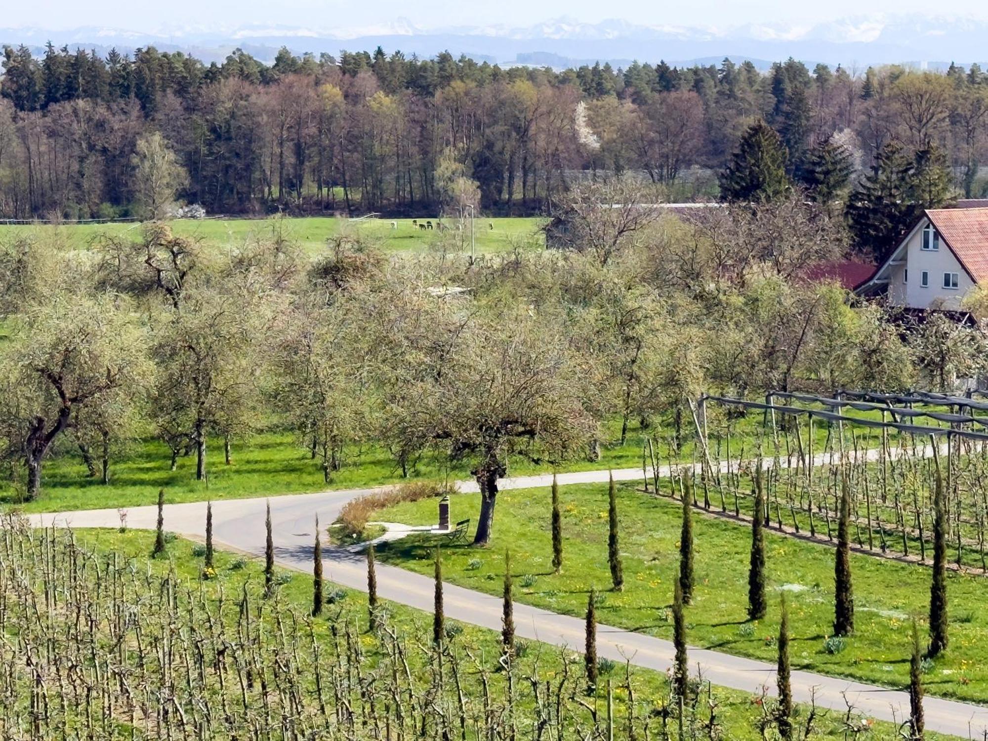 Bergchalet Mirabell - Hofgut * Friedrichshafen