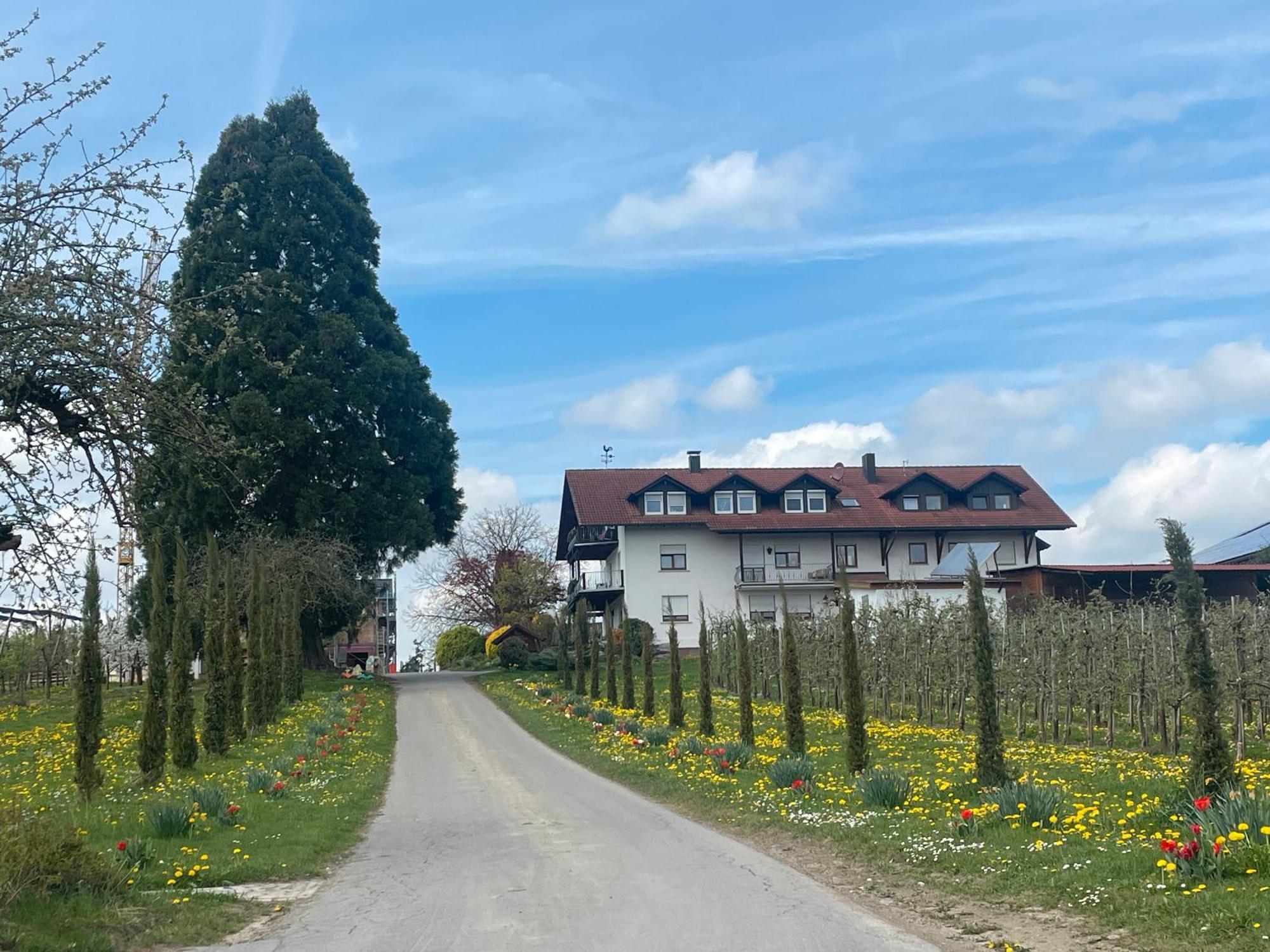 Bergchalet Mirabell - Hofgut Apartment